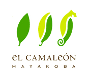 El Camaleon Golf Club Mayakoba